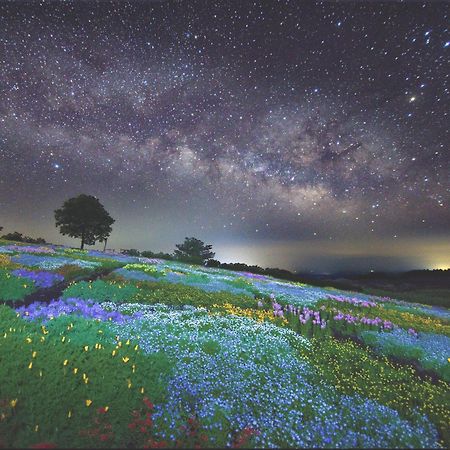 くじゅう花公園　キャンピングリゾート花と星 Kuju Екстериор снимка