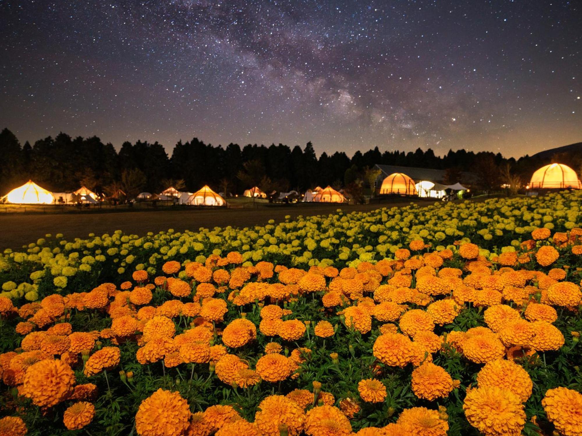 くじゅう花公園　キャンピングリゾート花と星 Kuju Екстериор снимка