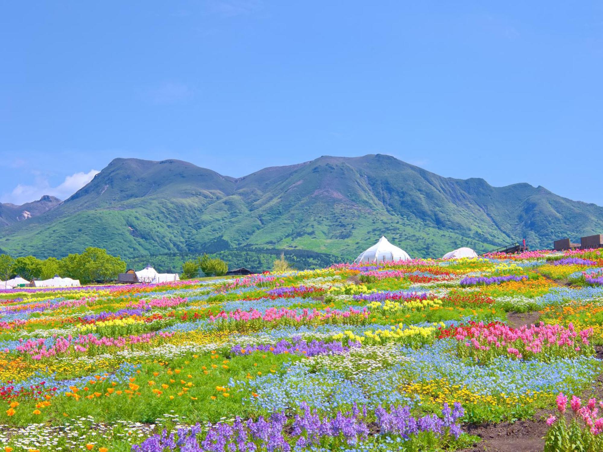 くじゅう花公園　キャンピングリゾート花と星 Kuju Екстериор снимка