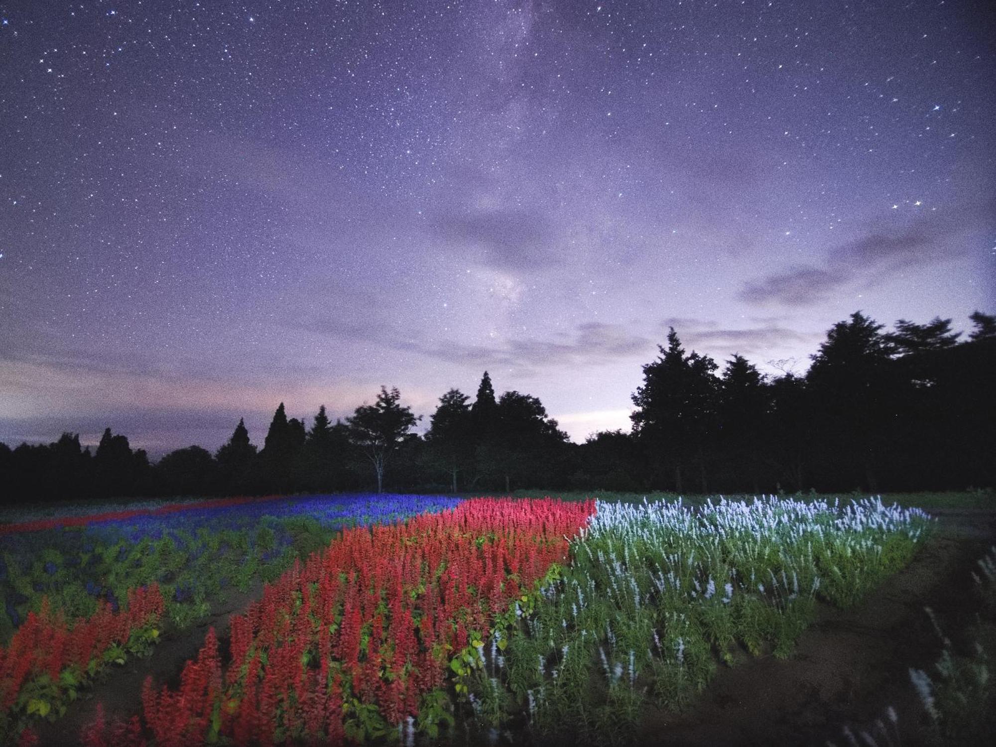 くじゅう花公園　キャンピングリゾート花と星 Kuju Екстериор снимка