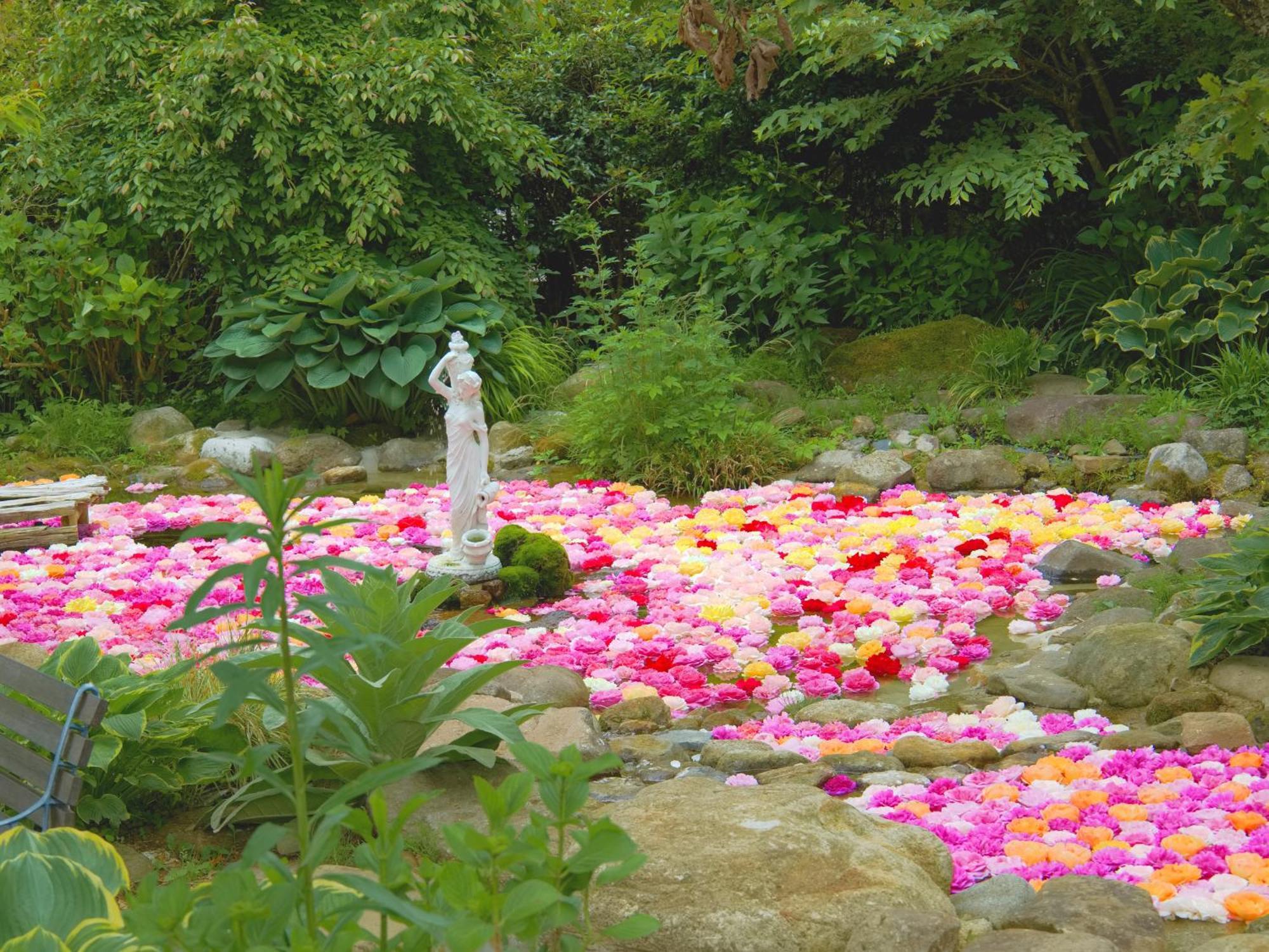 くじゅう花公園　キャンピングリゾート花と星 Kuju Екстериор снимка