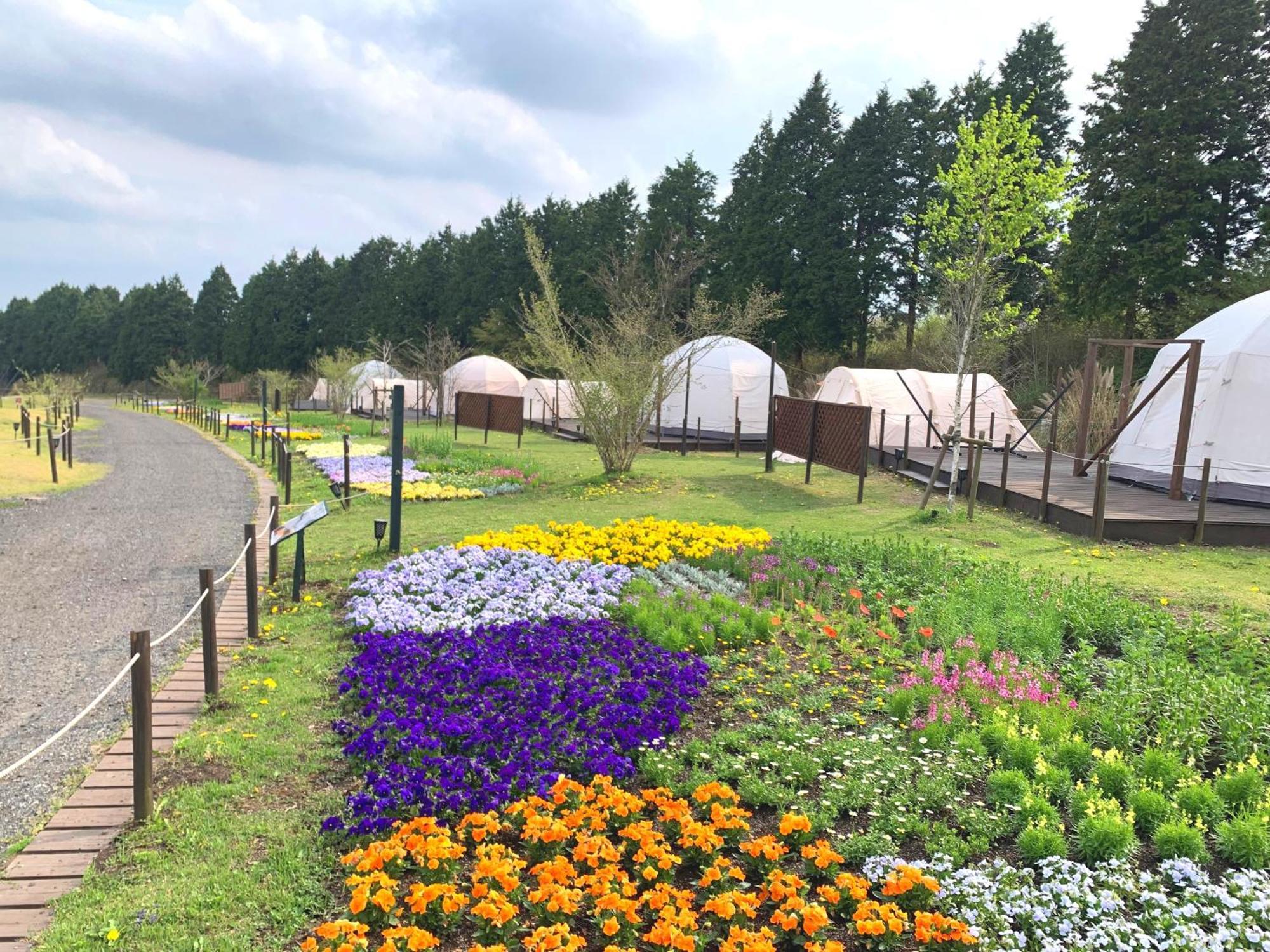 くじゅう花公園　キャンピングリゾート花と星 Kuju Екстериор снимка