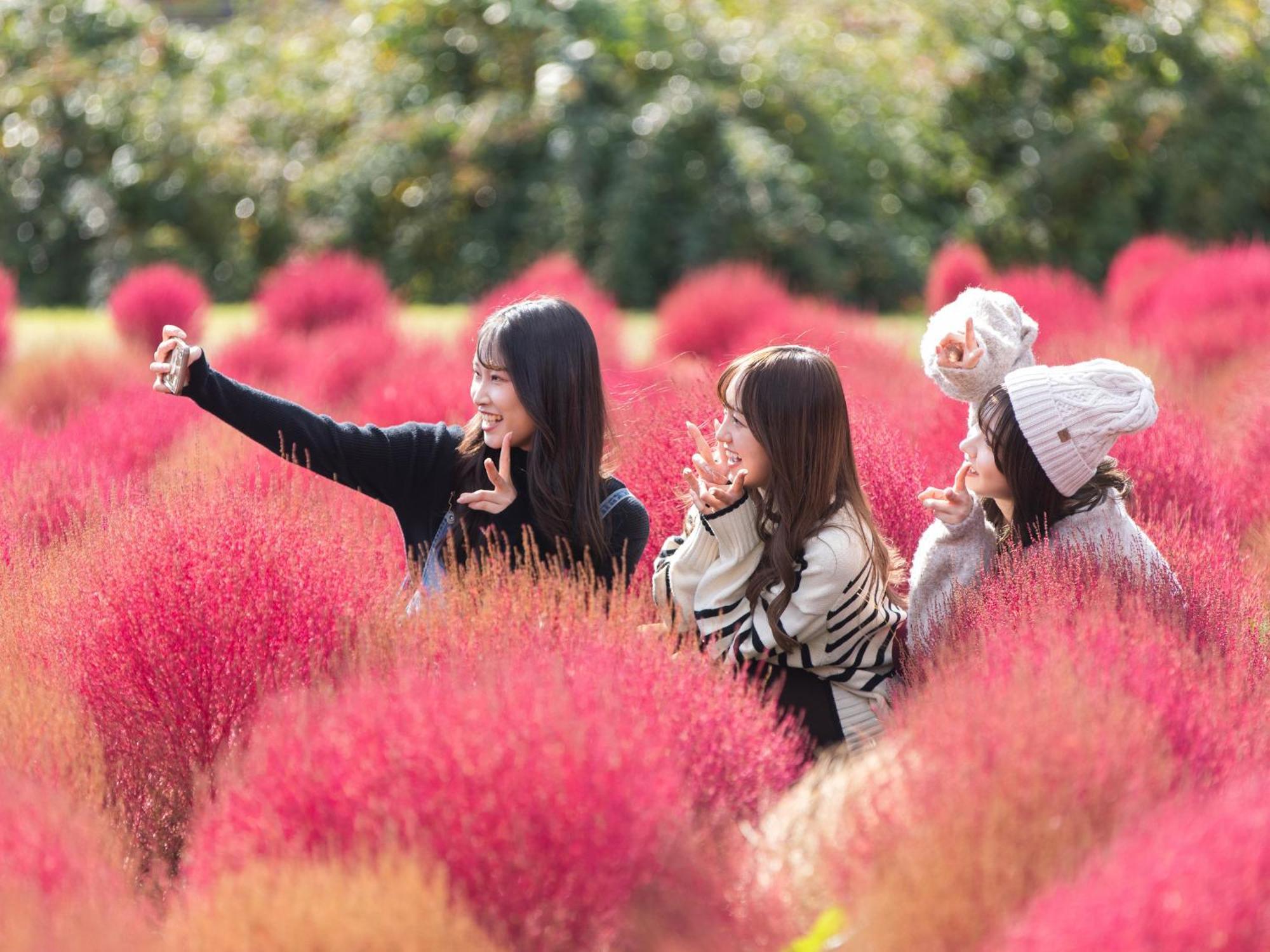 くじゅう花公園　キャンピングリゾート花と星 Kuju Екстериор снимка