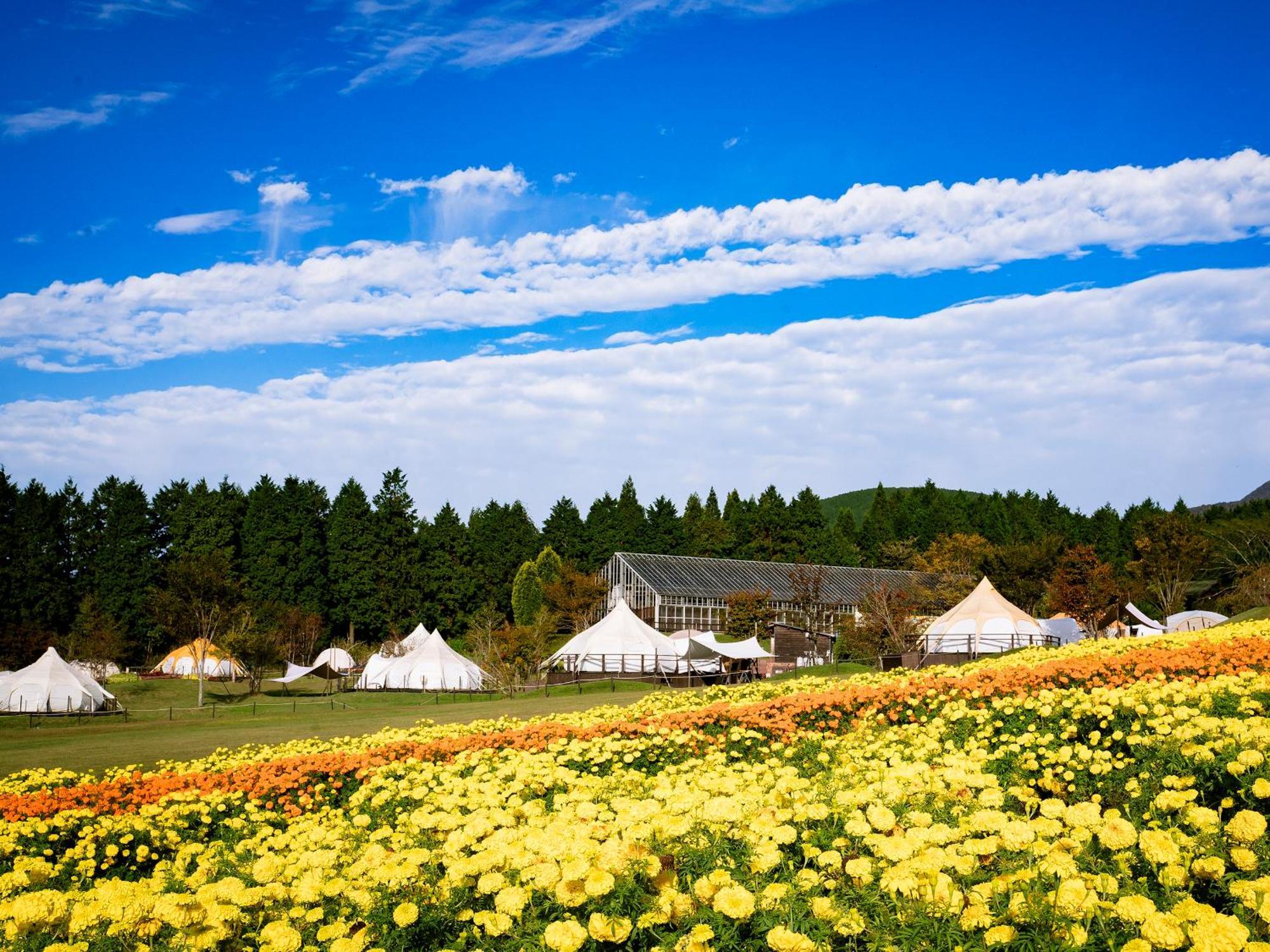くじゅう花公園　キャンピングリゾート花と星 Kuju Екстериор снимка