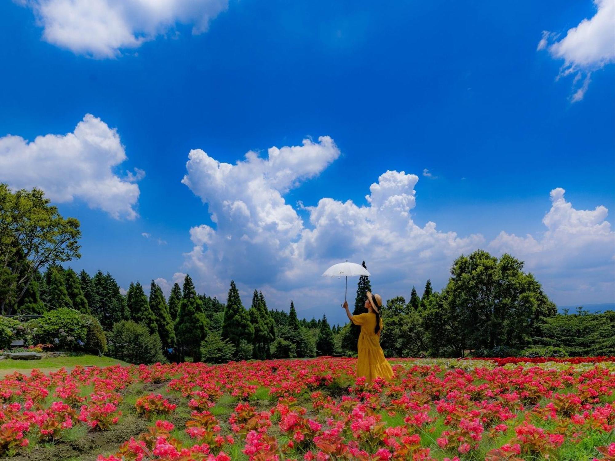 くじゅう花公園　キャンピングリゾート花と星 Kuju Екстериор снимка