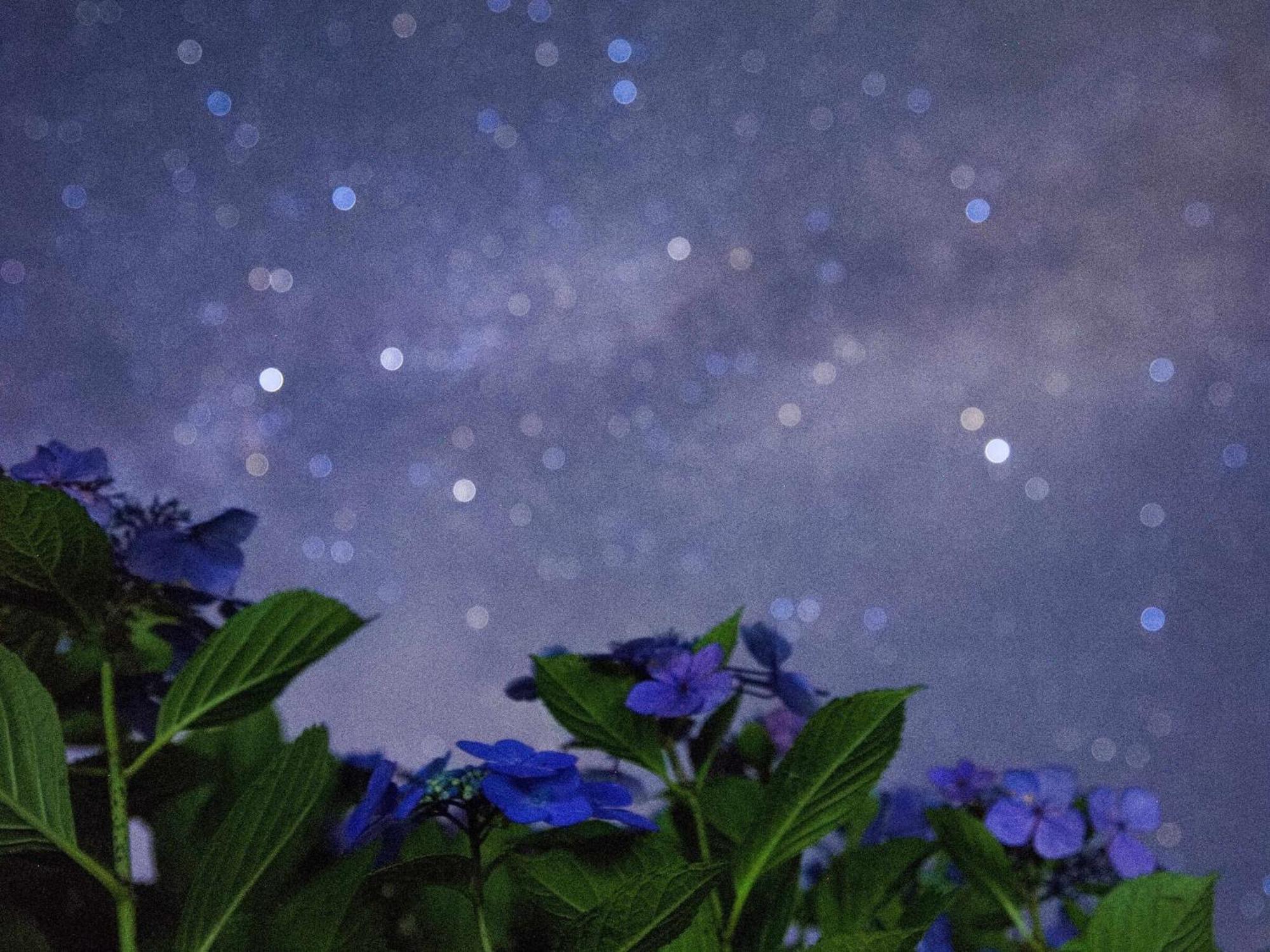 くじゅう花公園　キャンピングリゾート花と星 Kuju Екстериор снимка